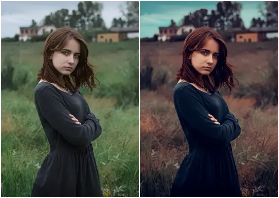 Moody Orange Free Dng