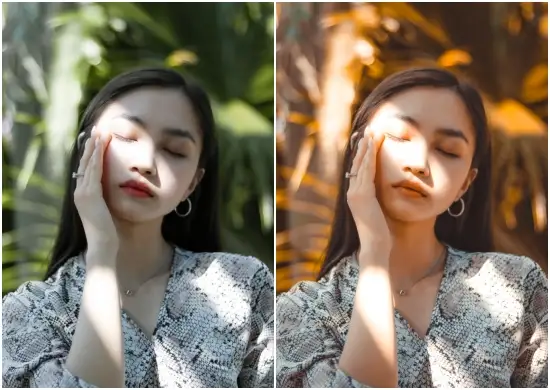 Light Tone Free Preset For Lightroom