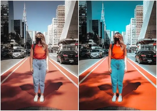 Great Teal and Orange