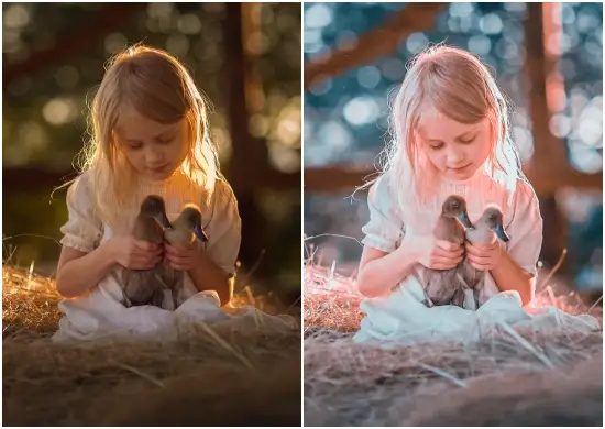 Download Outdoor Lightroom Presets Dng