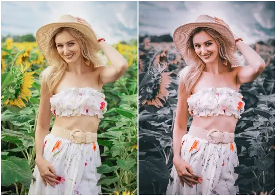 Dark Moody Instagram Preset Filter