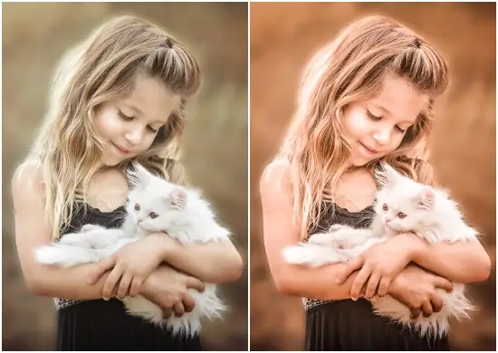 Download Free Wedding Photography Lightroom