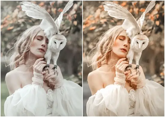 Outdoor Instagram Blogger Lightroom Presets