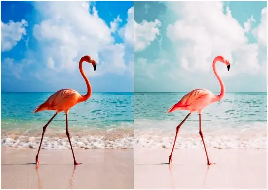 Lightroom DNG Mobile Presets Free