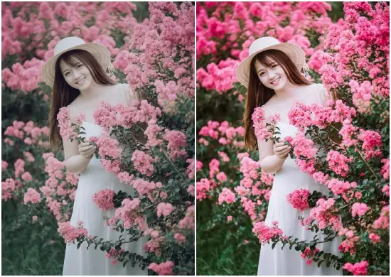 Sweet Photography Pink Preset