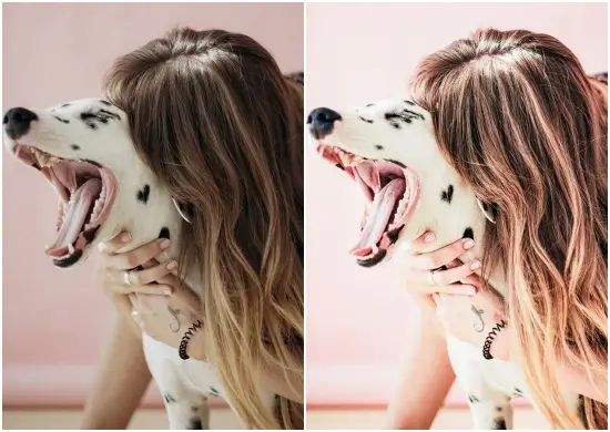 Pink tone Effect lightroom Presets download