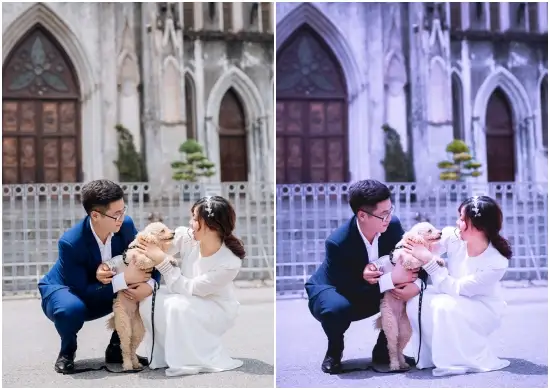 VSCO Filter Wedding Pink Presets