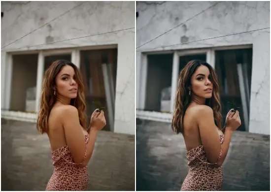 Dark Portrait Lightroom Preset Free Dng