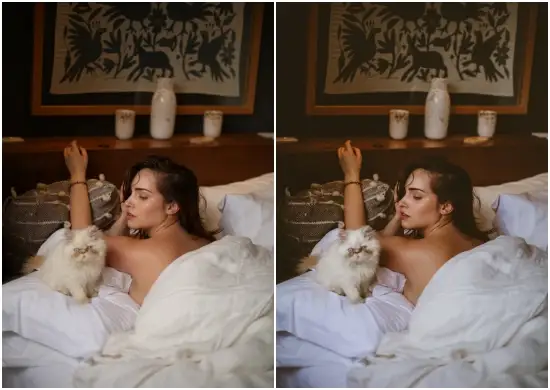 Dark Skin Beauty Portrait Lightroom Presets