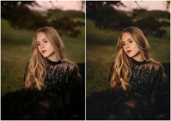 Best LR Preset Desktop And Mobile Dark Tone