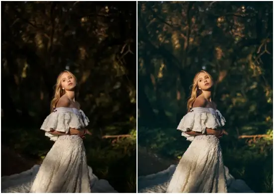 Dark Lightroom Presets give a Photo