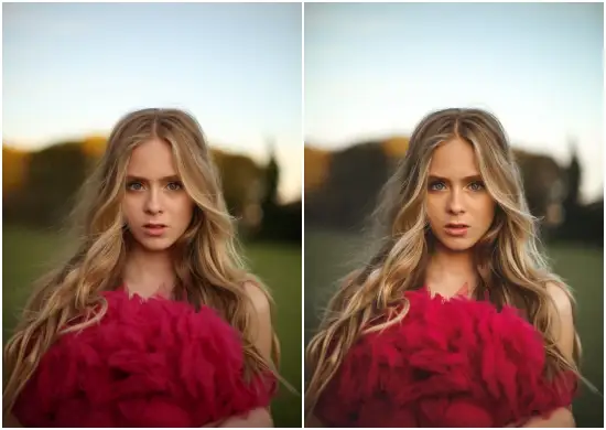 Special Dark Tone-Free Lightroom Presets