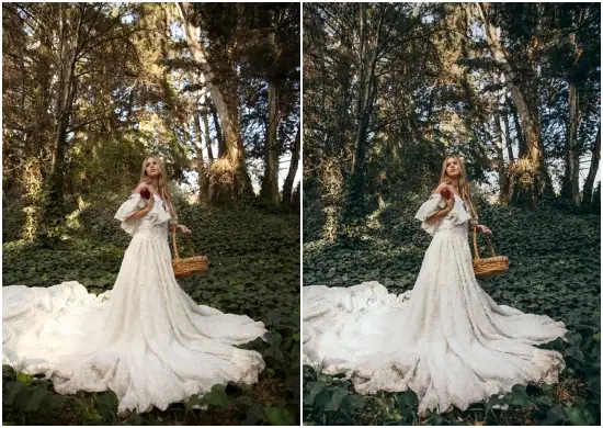 Free Black-and-White Presets for Lightroom