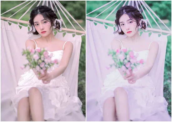 Portrait Photography Presets