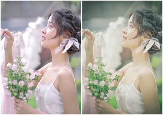 Outdoor Portrait Presets