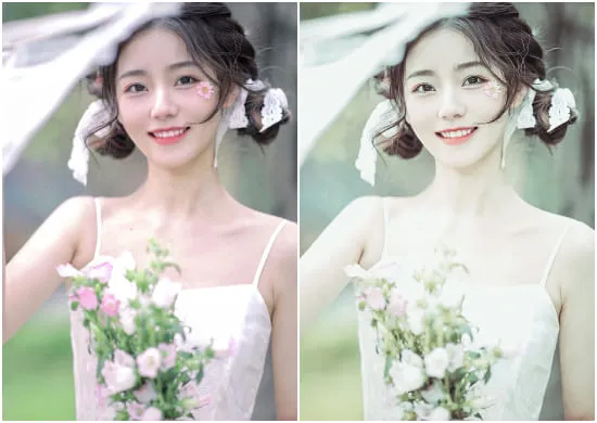 Portrait Presets Best