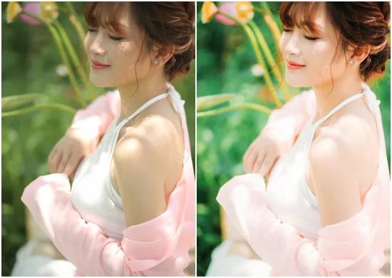 Filmic Portrait Presets