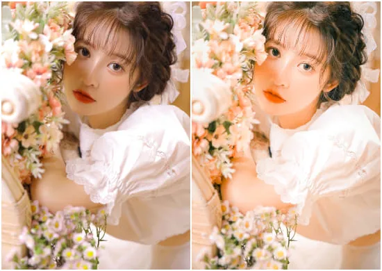 Portrait Presets Filters