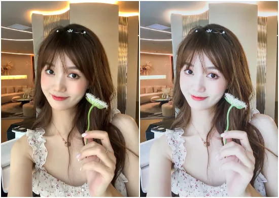 Free Portrait Presets