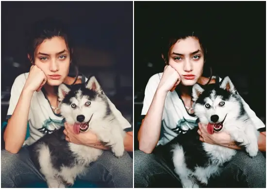 Portrait pro presets free now