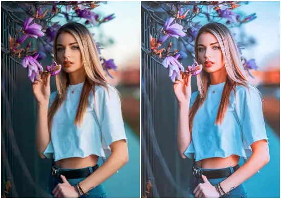 Lightroom portrait presets .dng