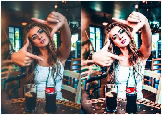 Download lightroom portrait free dng