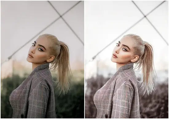 Powder Gray Color Effect Preset Grey Preset