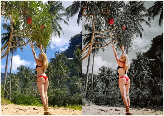 Free Preset Lightroom Presetgram Gray Tone