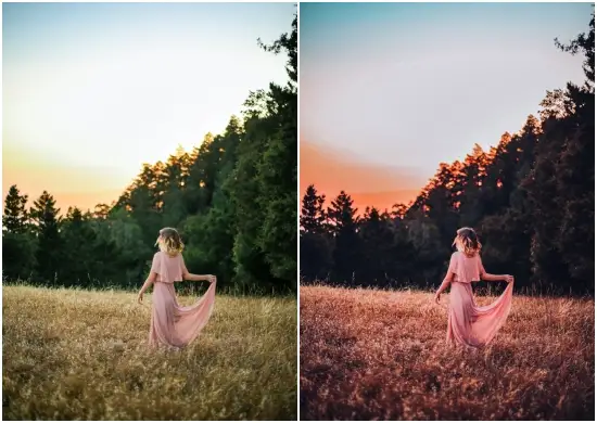 Purple Lightroom Presets and LUTs