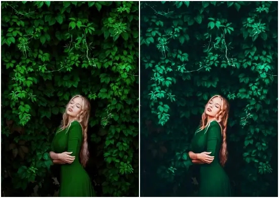 Rainbow Preset Lightroom Free