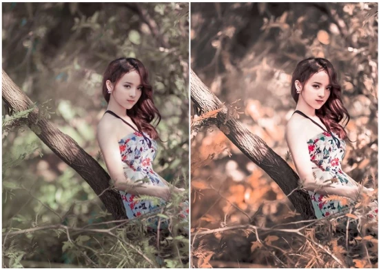 Rainbow Colours Lightroom Preset Pack