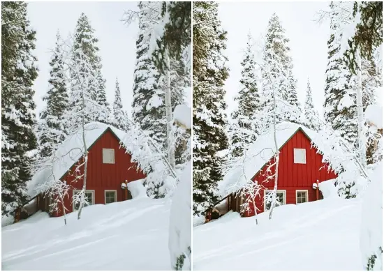 Download Free Lightroom Black and White Presets DNG