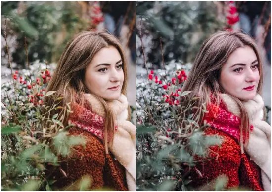 Red Tone download lightroom presets