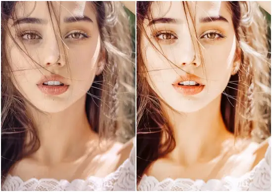 Awesome Pro Portrait Lightroom Presets And Brushes