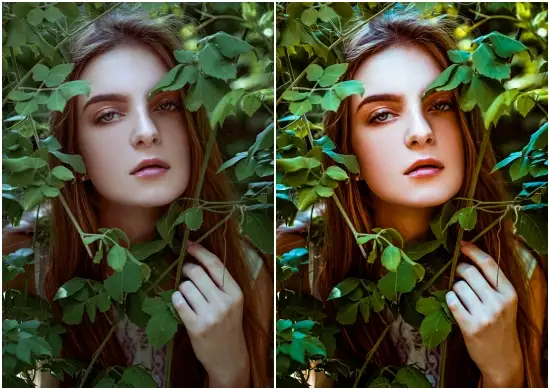 Nature Retouch Skin Lightroom Preset