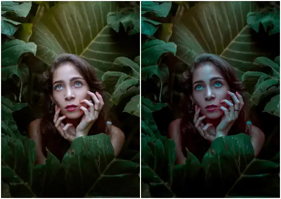 Skin Retouch Portrait Lightroom Presets