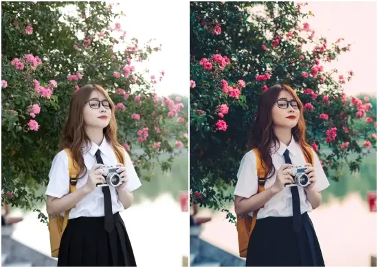 Retro Film Filter Vsco DNG Preset