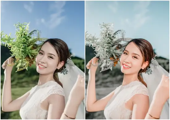 Download Rustic Wedding Collection Preset