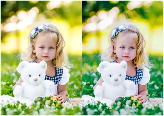 Sea Of Grass Pure Dark Tone Lightroom Preset