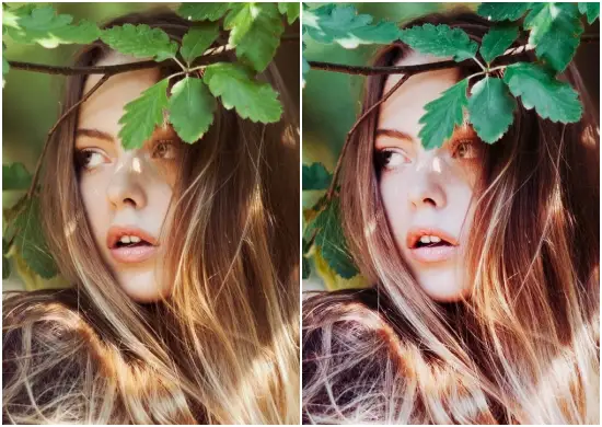 Sea Of Grass Pure Soft Mobile Preset