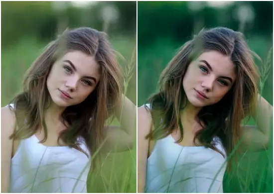 Free Sea Of Grass Vibe Dark Mobile Preset Dng