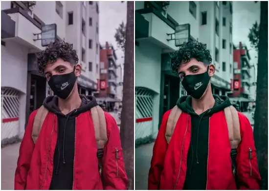 Sepanja Street Gray Tone Free Mobile Preset