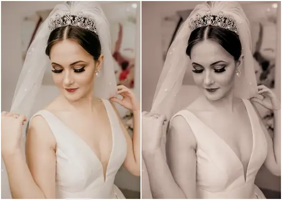 Free Download Dng Free Red Wine Preset