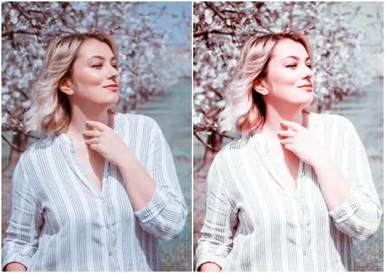 Pink Blush Nature Mobile Preset Lightroom