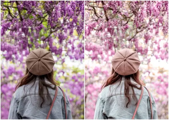 Spring Mobile Lightroom Free Presets