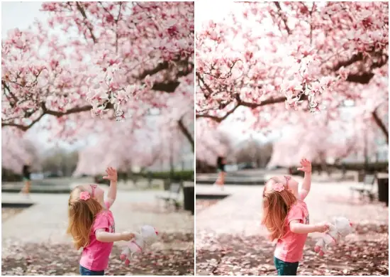 Blush Pink Spring Lightroom Preset