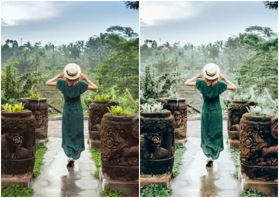 Nature Evergreen Lightroom Mobile & Desktop Presets