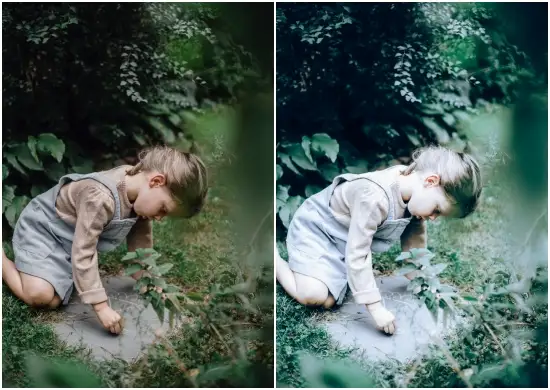 Evergreen Nature Outdoor Presets