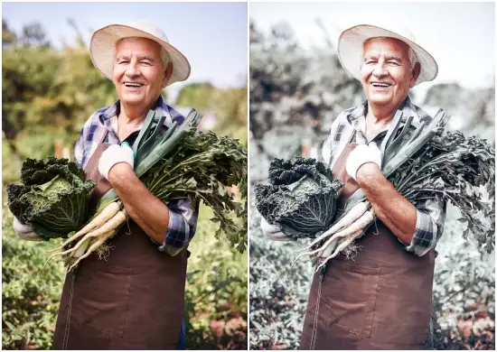 Premium Minimal Grey Lightroom Presets