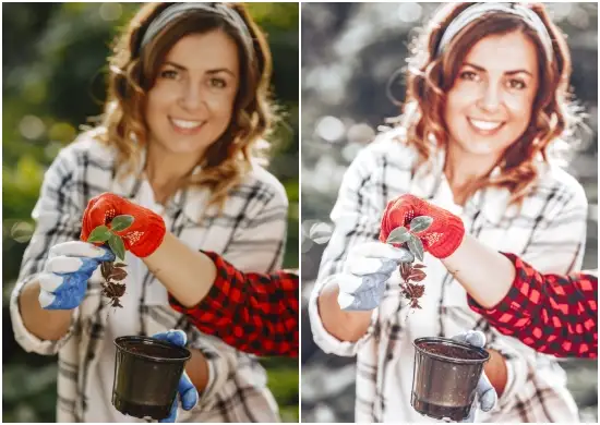 Download Dng Orange Gray Preset Lightroom